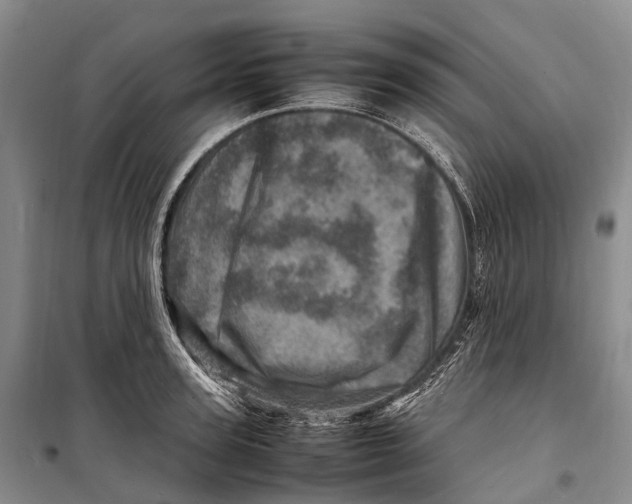 X0000098220947200805151314