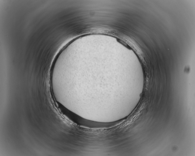 X0000098220948200805151314