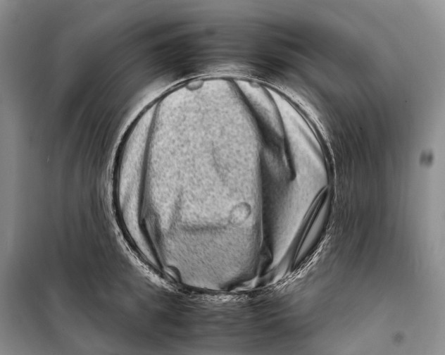 X0000098220949200805151314