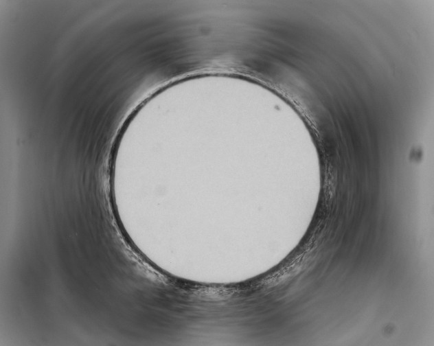 X0000098220950200805151314