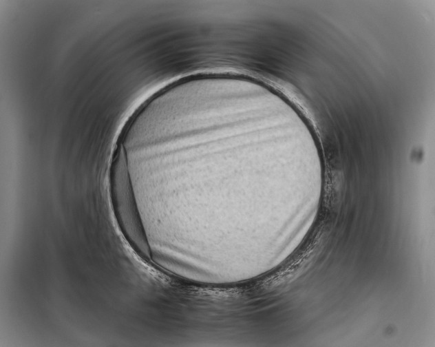 X0000098220951200805151314