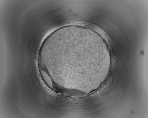 X0000098220952200805151314