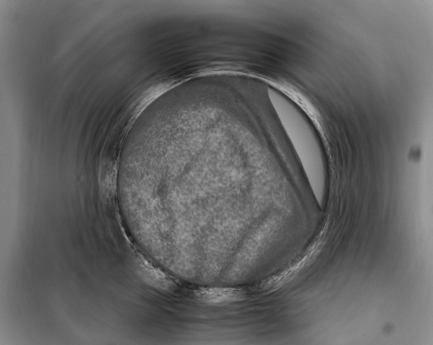 X0000098220953200805151314