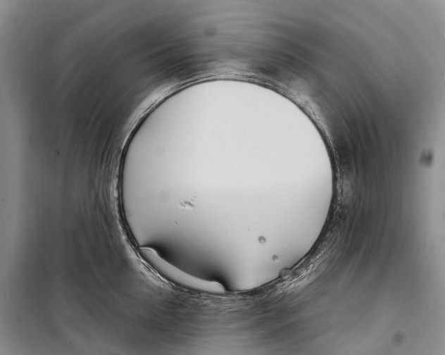 X0000098220954200805151314