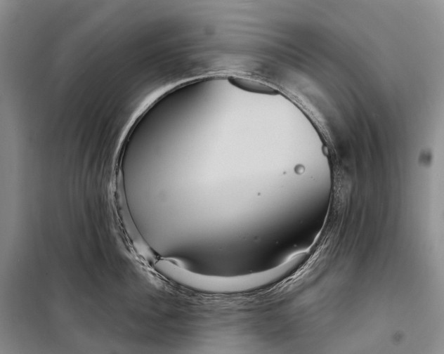 X0000098220956200805151314