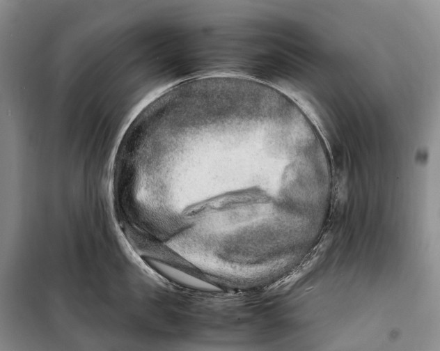 X0000098220957200805151314