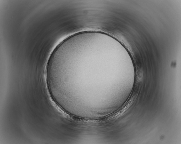 X0000098220958200805151314