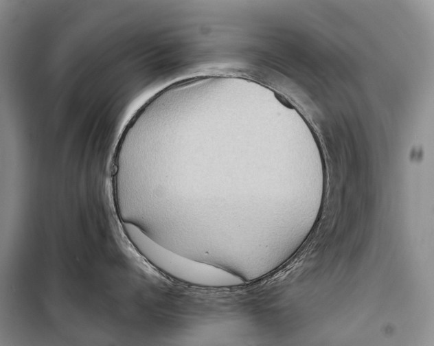 X0000098220960200805151314