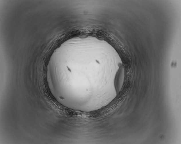 X0000098220961200805151313