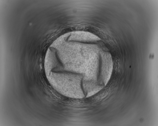 X0000098220962200805151313