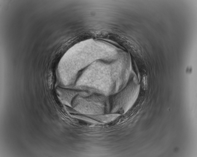 X0000098220963200805151313