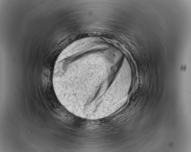 X0000098220964200805151313