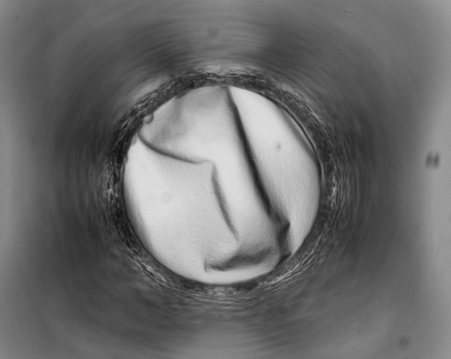 X0000098220966200805151313