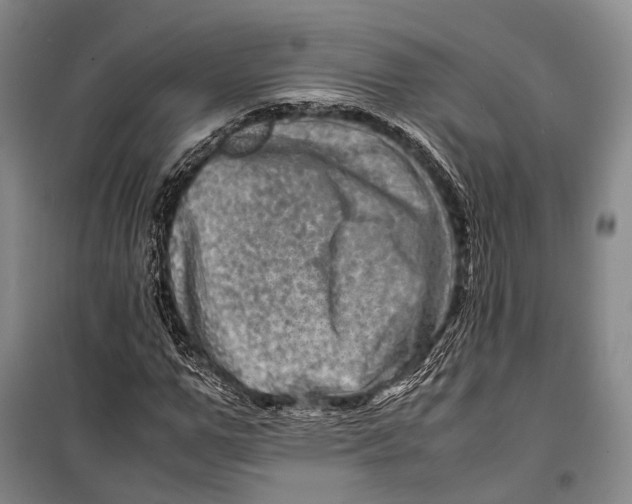 X0000098220967200805151313