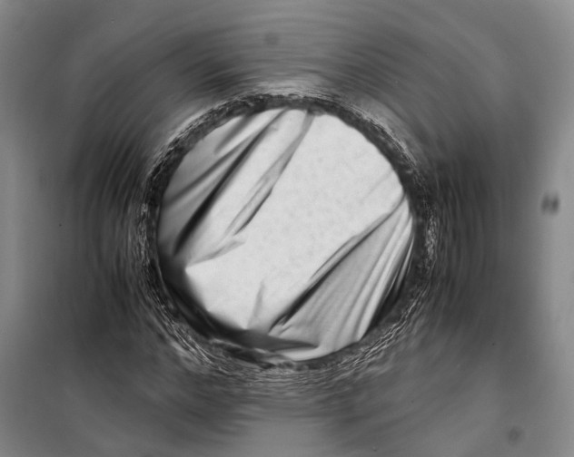 X0000098220968200805151313