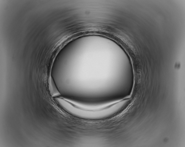 X0000098220969200805151313