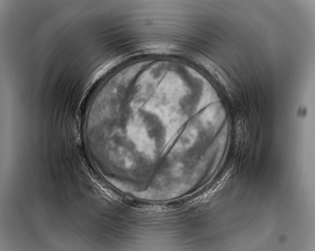 X0000098220970200805151313