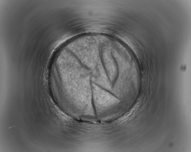 X0000098220971200805151313