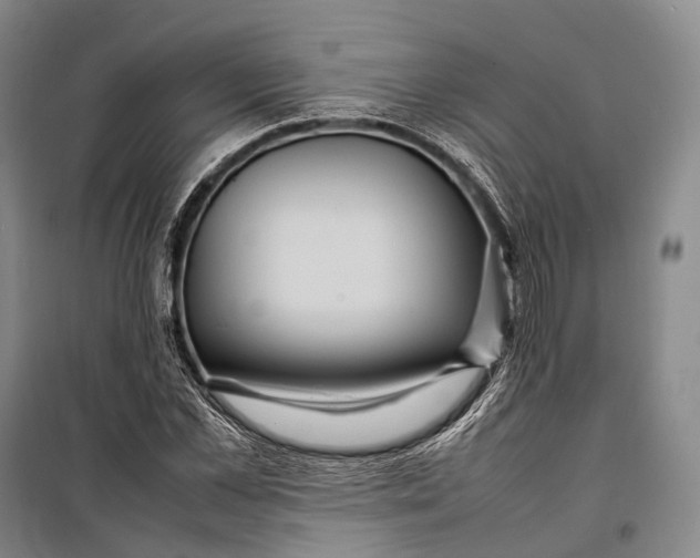 X0000098220973200805151313