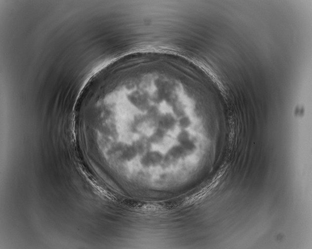 X0000098220974200805151313