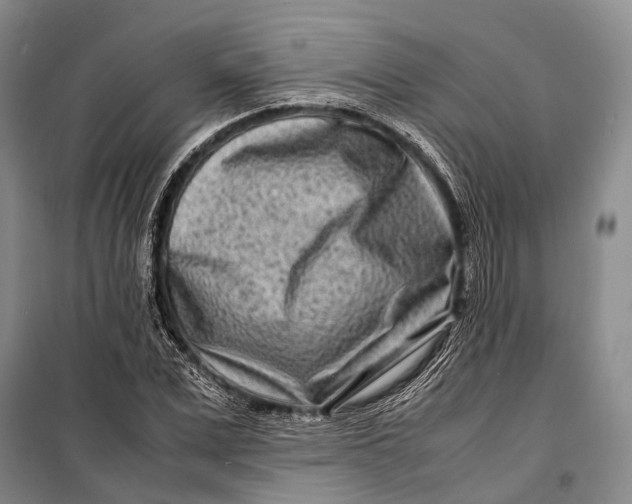 X0000098220975200805151313