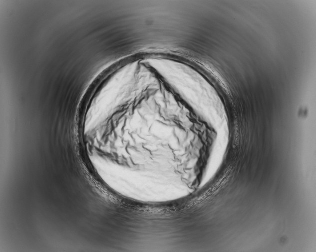 X0000098220976200805151313