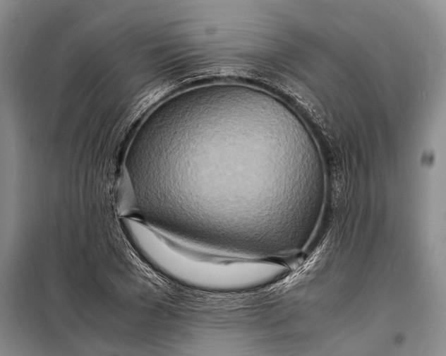 X0000098220977200805151313