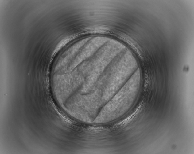 X0000098220978200805151313