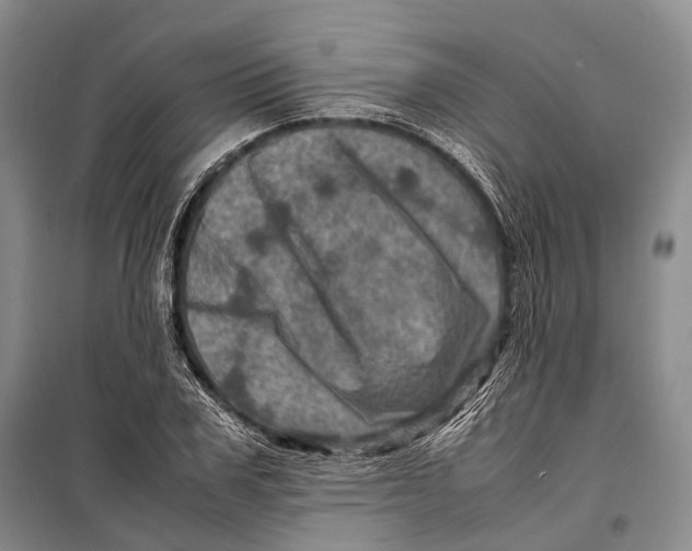 X0000098220979200805151313