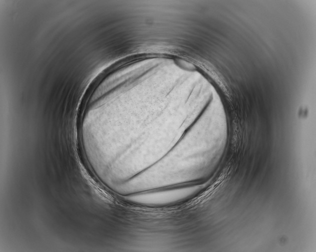 X0000098220980200805151313