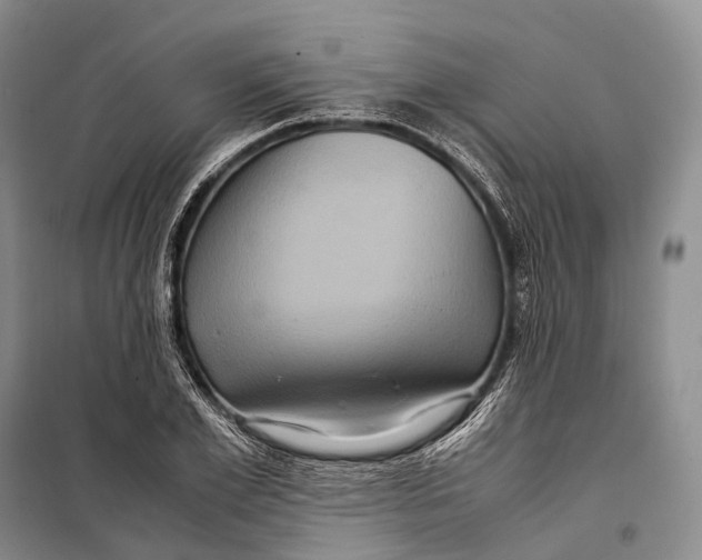 X0000098220981200805151313