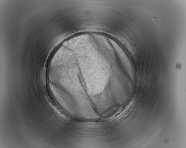 X0000098220982200805151313