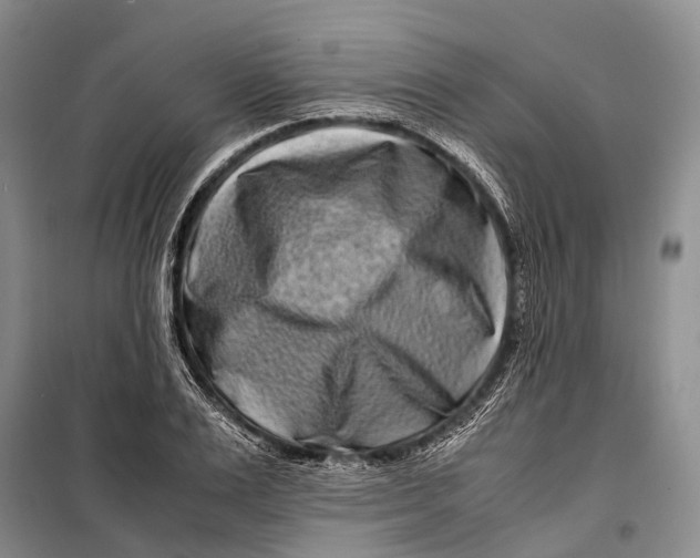 X0000098220983200805151313