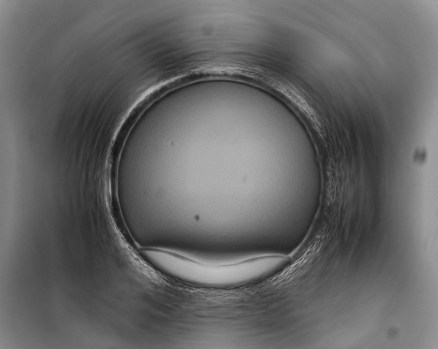 X0000098220984200805151313