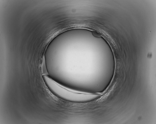 X0000098220985200805151313