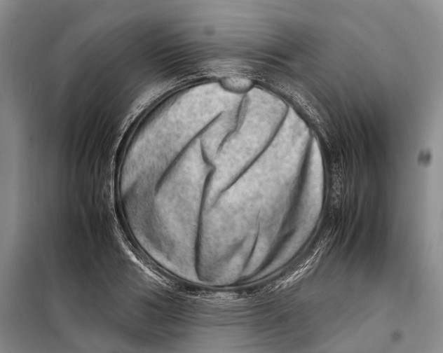 X0000098220986200805151313