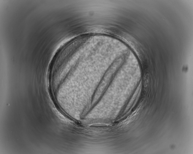 X0000098220987200805151313