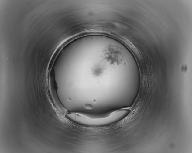 X0000098220988200805151313