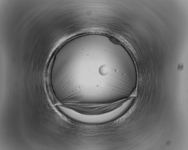 X0000098220989200805151313