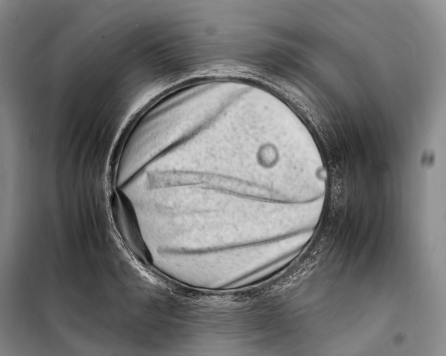 X0000098220990200805151313