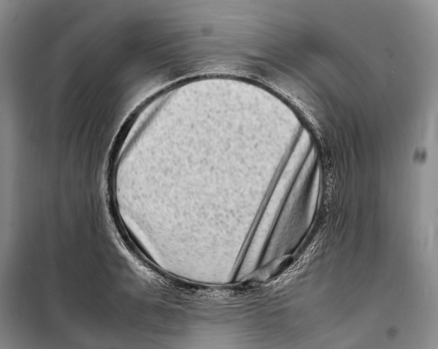 X0000098220991200805151313