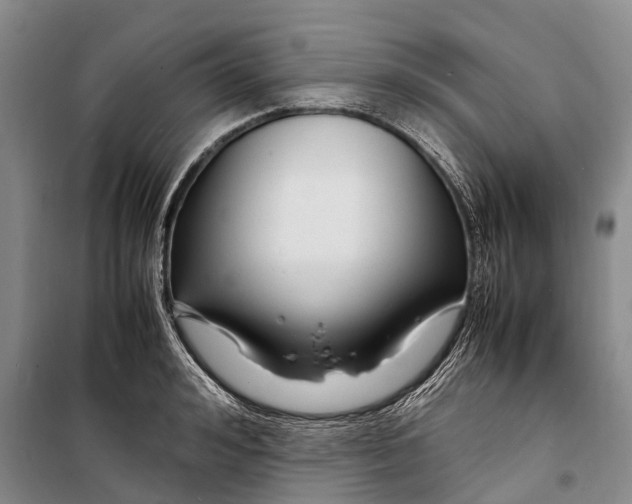 X0000098220992200805151313