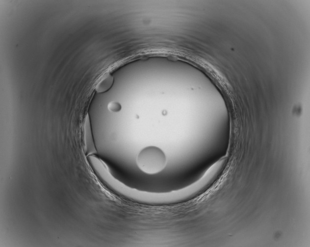 X0000098220993200805151313