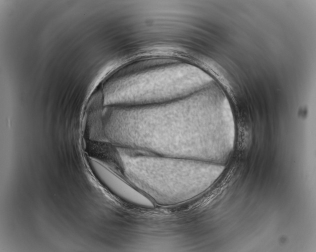 X0000098220994200805151313