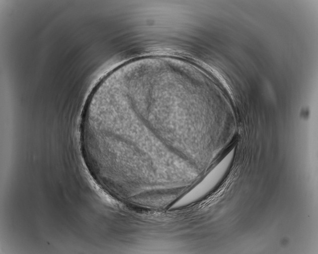 X0000098220995200805151313