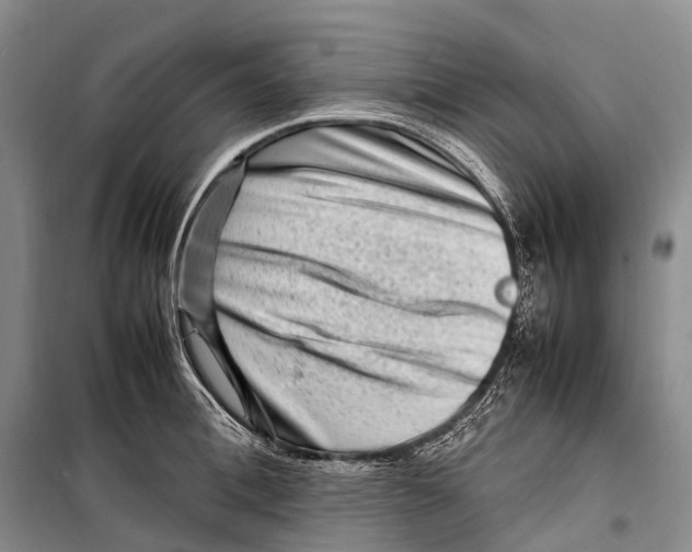 X0000098220996200805151313