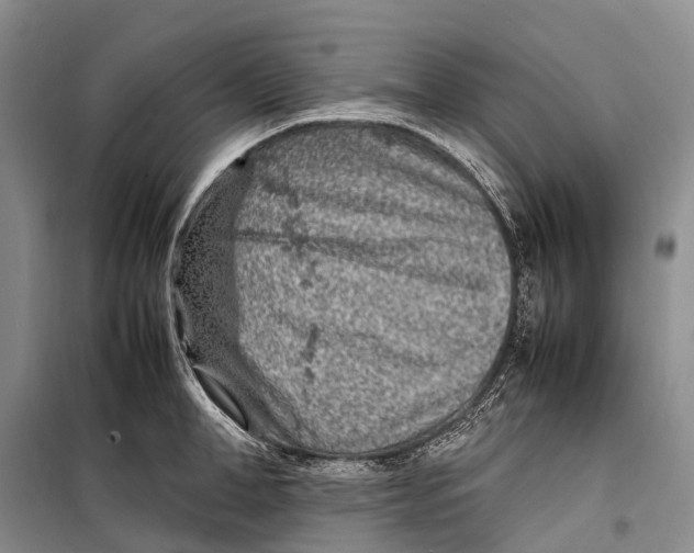 X0000098220998200805151313