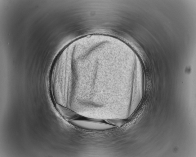 X0000098220999200805151313