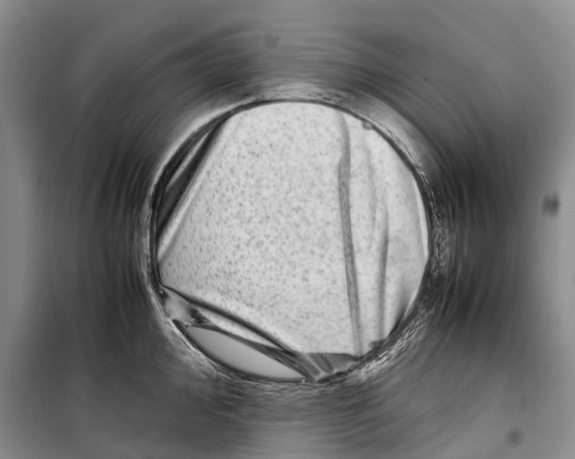 X0000098221000200805151313