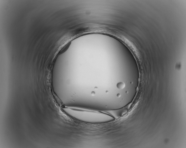 X0000098221001200805151313